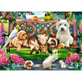 puzzle-180-pets-in-the-park-castor-kod-producenta-i604-kx4800