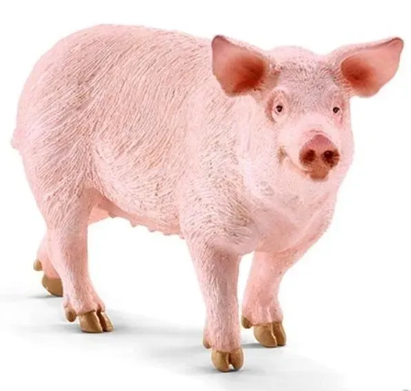 figurka-swinia