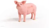 figurka-swinia-stan-nowy-kod-producenta-17071