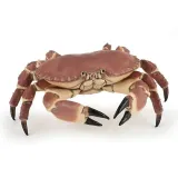 figurka-krab-stan-nowy