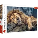 puzzle-1000-spiacy-lew-trefl-stan-nowy