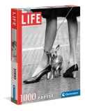 puzzle-1000-life-collection-stan-nowy