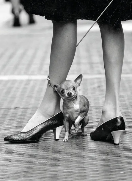 puzzle-1000-life-collection-kod-producenta-39634