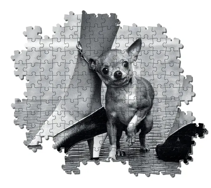 puzzle-1000-life-collection-kolekcja-life-collection