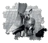 puzzle-1000-life-collection-kolekcja-life-collection