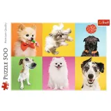 puzzle-500-psy-trefl-kolekcja-premium-quality