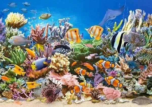 puzzle-260-kolory-oceanu-castor-kod-producenta-5904438027279