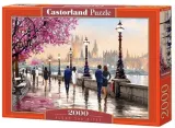 puzzle-2000-wzdluz-rzeki-castor