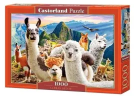 puzzle-1000-lamy-castor