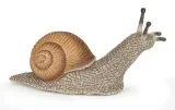 figurka-slimak