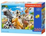 puzzle-260-african-selfie-castor