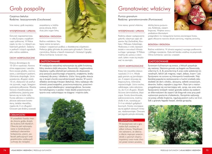atlas-dzikich-kwiatow-okladka-twarda