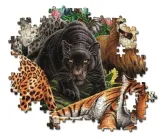 puzzle-500-hq-wild-cats-kod-producenta-35126