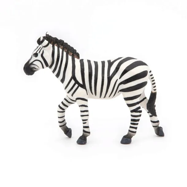 figurka-zebra-samiec-typ-figurka