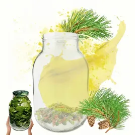 sloik-3000ml-3l-soki-ogorki-kiszone-grzyby-nalewki-1-sztuka-100mm-pzh
