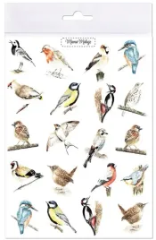 tatuaze-zmywalne-ptaki