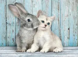 puzzle-500-compact-cat-and-bunny