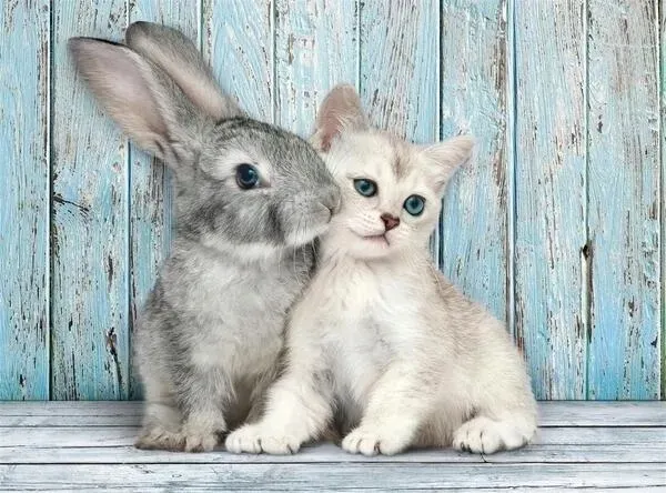 puzzle-500-compact-cat-and-bunny