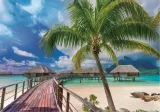 puzzle-1000-paradise-beach-trefl-kod-producenta-5900511107043