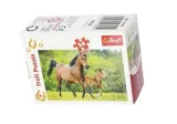 puzzle-54-mini-swiat-koni-2-trefl