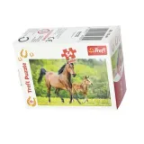 puzzle-54-mini-swiat-koni-2-trefl-stan-nowy