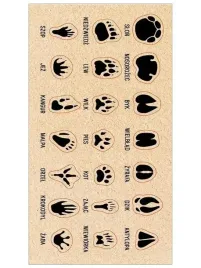 naklejki-slady-zwierzat