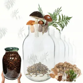 sloiki-4000ml-4l-soki-ogorki-cukinia-grzyby-nalewki-6sztuk-100mm-pzh