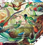 puzzle-imagination-1000-ernst-haeckel-kolibry-stan-nowy