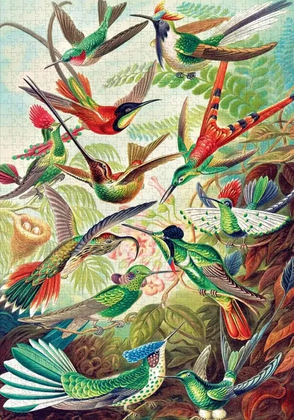 puzzle-imagination-1000-ernst-haeckel-kolibry-marka-good-loot