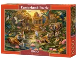 puzzle-1000-tigers-paradise-castor