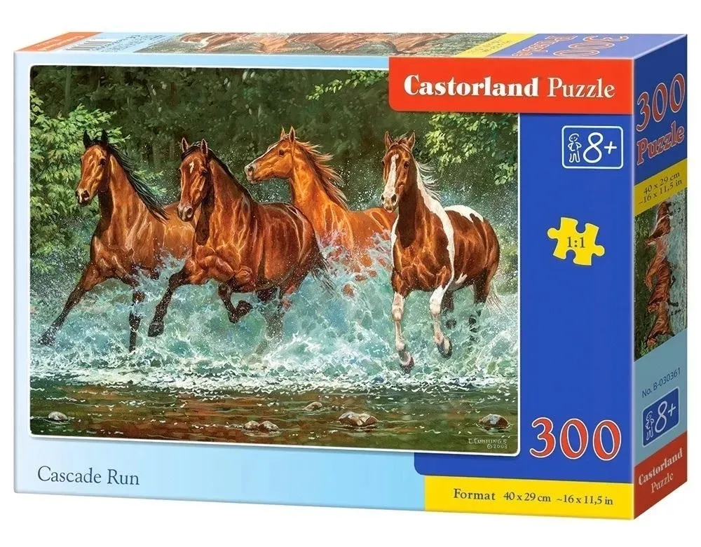 puzzle-300-cascade-run-castor