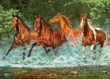 puzzle-300-cascade-run-castor-stan-nowy