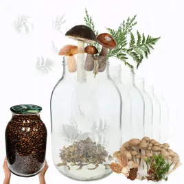 sloiki-4000ml-4l-soki-ogorki-cukinia-grzyby-nalewki-30sztuk-100mm-pzh