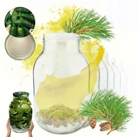 sloiki-3000ml-3l-soki-ogorki-kiszone-grzyby-nalewki-10kpl-zakretki-100mm