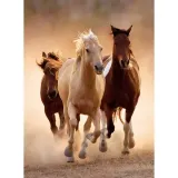 puzzle-1000-hq-running-horses-kod-producenta-39168