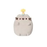 pusheen-party-maly-plec-chlopcy-dziewczynki