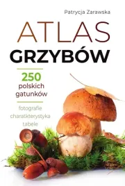 atlas-grzybow