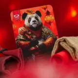 sojusz-na-juz-muduko-wydawca-muduko