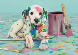 puzzle-500-compact-the-funny-dalmatian