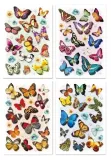 naklejki-3d-motyle-mix-plec-chlopcy-dziewczynki