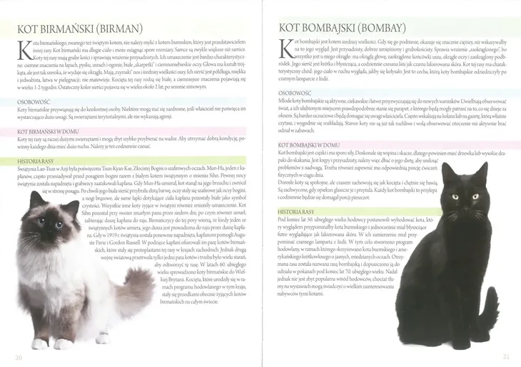 atlas-kotow-jezyk-polski