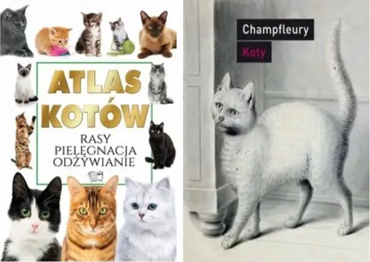 atlas-kotow-wysokosc-produktu-30-cm