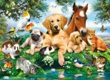 puzzle-200-summer-pals-castor-stan-nowy