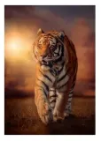 puzzle-1000-compact-museum-l-urlo-di-munch-kolekcja-puzzle-1000-museum-l-urlo-di-munch