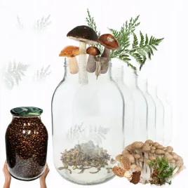 sloiki-4000ml-4l-soki-ogorki-cukinia-grzyby-nalewki-10sztuk-100mm-pzh