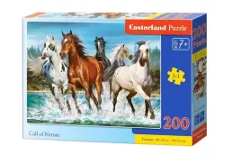 puzzle-200-call-of-nature-castor
