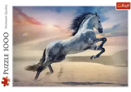 puzzle-1000-majestatyczny-kon-trefl