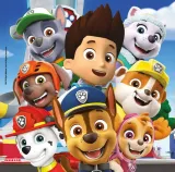 puzzle-60-frame-me-up-paw-patrol-kolekcja-frame-me-up