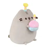 pusheen-z-tortem