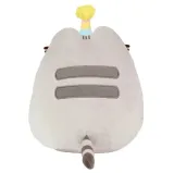 pusheen-z-tortem-marka-aurora